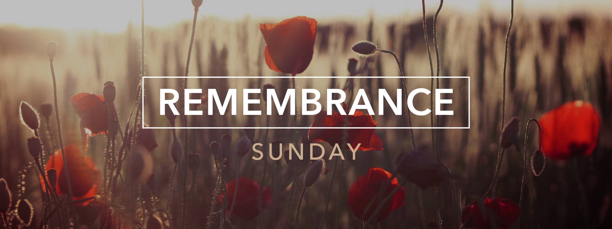 **9th November at St Paul's Warwick Road and Bretch Hill