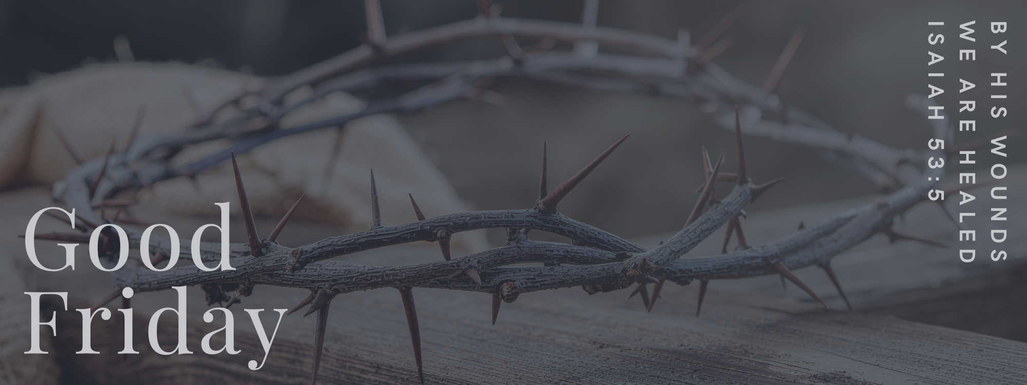 Join us*10.30am*At the Sunshine Centre