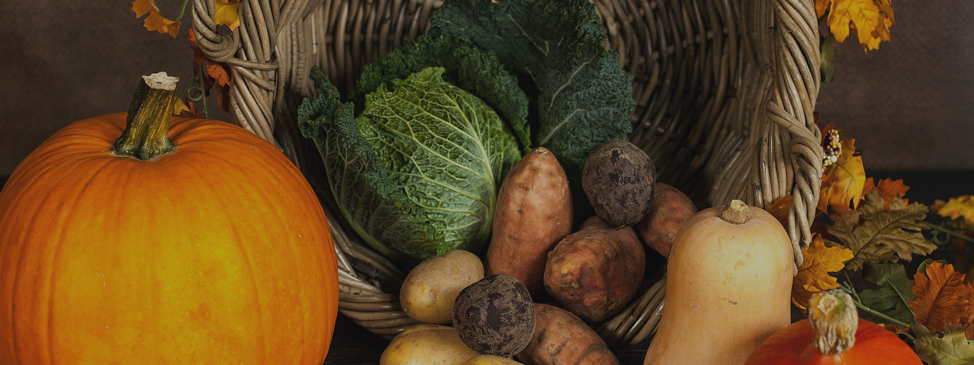 Harvest Sunday*4th October*Find out more
