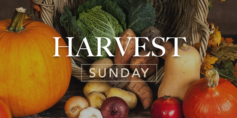 feature image harvest 1