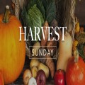 Harvest Sunday
